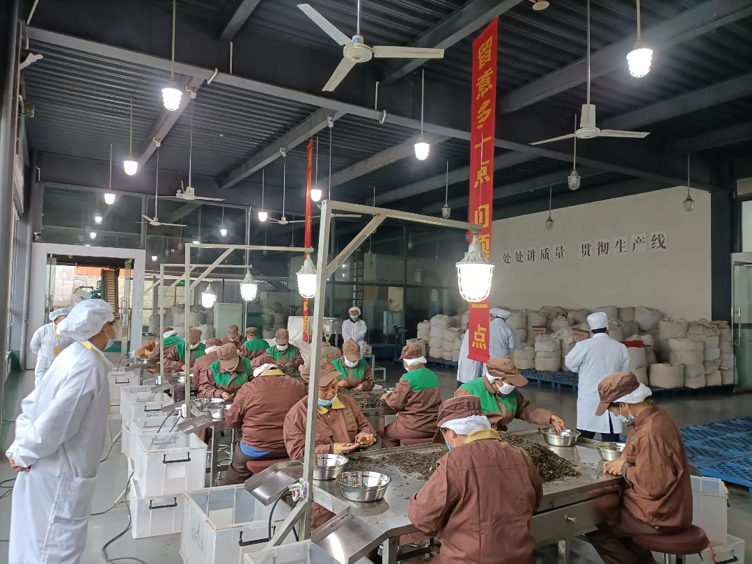 精益求精&middot;鑄造品質｜六大茶山第十四屆技術大比武圓滿完成