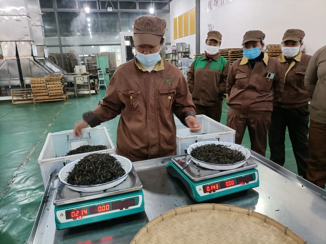 精益求精&middot;鑄造品質｜六大茶山第十四屆技術大比武圓滿完成