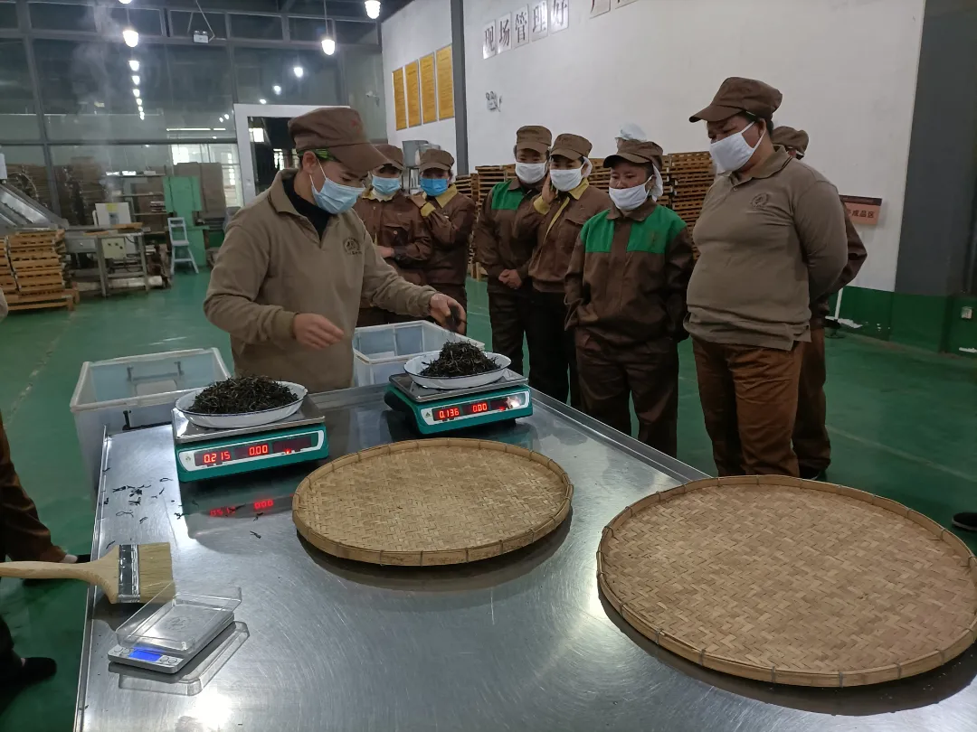 精益求精&middot;鑄造品質｜六大茶山第十四屆技術大比武圓滿完成