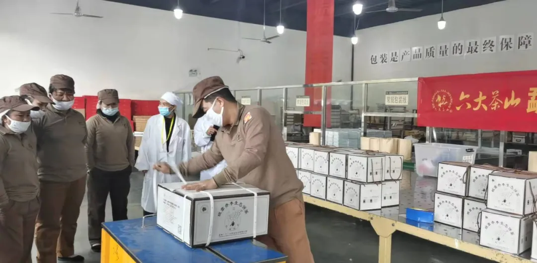 精益求精&middot;鑄造品質｜六大茶山第十四屆技術大比武圓滿完成